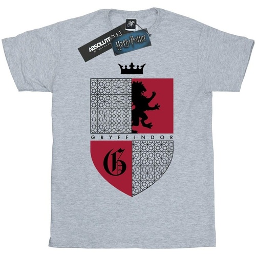 Abbigliamento Uomo T-shirts a maniche lunghe Harry Potter Gryffindor Shield Grigio