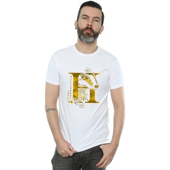 Abbigliamento Uomo T-shirts a maniche lunghe Harry Potter Hufflepuff Badger Bianco