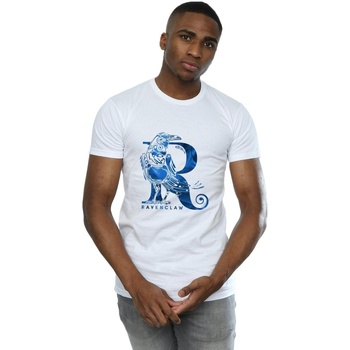 Abbigliamento Uomo T-shirts a maniche lunghe Harry Potter Ravenclaw Raven Bianco