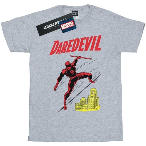 Abbigliamento Bambino T-shirt maniche corte Marvel Daredevil Rooftop Grigio