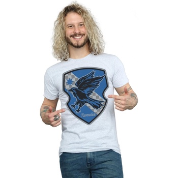 Abbigliamento Uomo T-shirts a maniche lunghe Harry Potter Ravenclaw Crest Flat Grigio