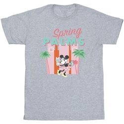 Abbigliamento Bambina T-shirts a maniche lunghe Disney Minnie Mouse Spring Palms Grigio
