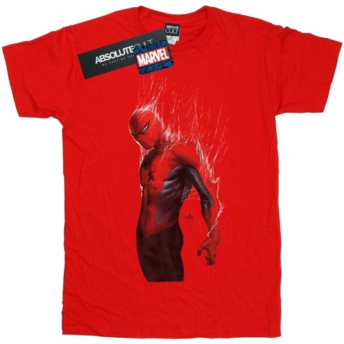 Abbigliamento Bambino T-shirt maniche corte Marvel Spider-Man Web Wrap Rosso