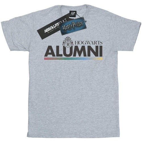 Abbigliamento Uomo T-shirts a maniche lunghe Harry Potter Hogwarts Alumni Grigio