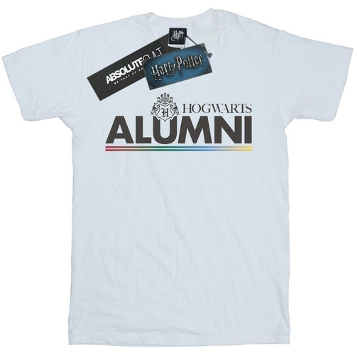 Abbigliamento Uomo T-shirts a maniche lunghe Harry Potter Hogwarts Alumni Bianco