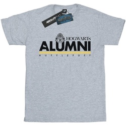 Abbigliamento Uomo T-shirts a maniche lunghe Harry Potter Hogwarts Alumni Hufflepuff Grigio
