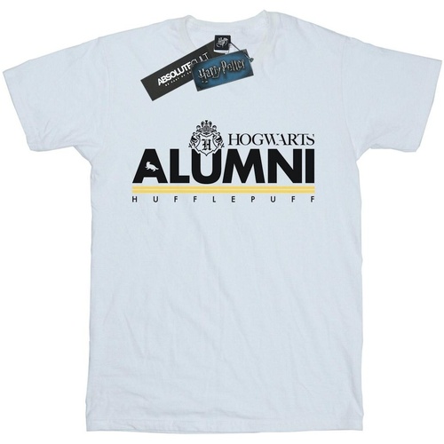 Abbigliamento Uomo T-shirts a maniche lunghe Harry Potter Hogwarts Alumni Hufflepuff Bianco
