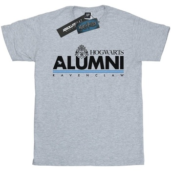 Abbigliamento Uomo T-shirts a maniche lunghe Harry Potter Hogwarts Alumni Ravenclaw Grigio