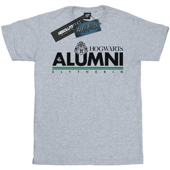 Abbigliamento Uomo T-shirts a maniche lunghe Harry Potter Hogwarts Alumni Slytherin Grigio