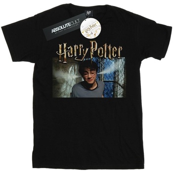 Abbigliamento Uomo T-shirts a maniche lunghe Harry Potter Steam Ears Nero