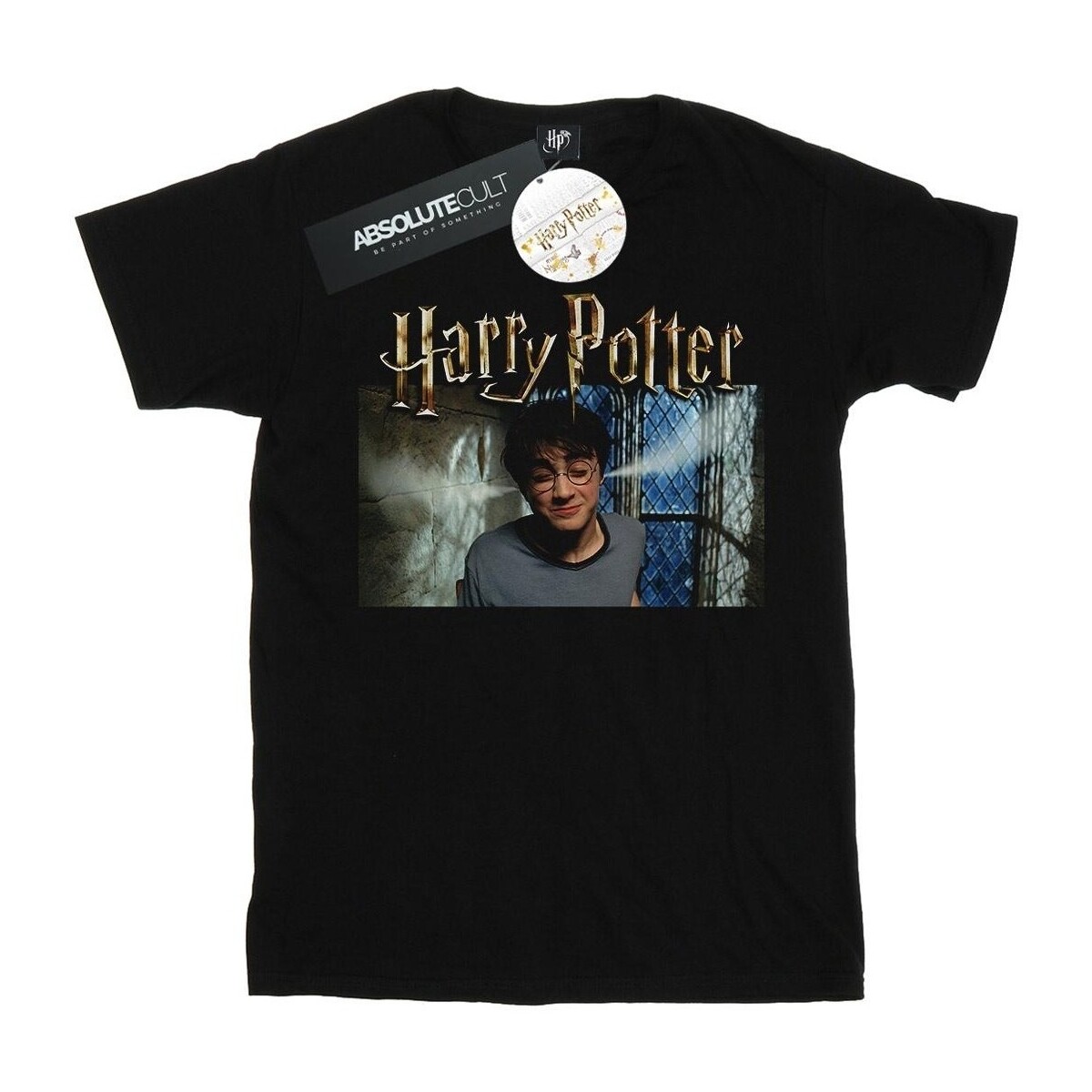 Abbigliamento Uomo T-shirts a maniche lunghe Harry Potter Steam Ears Nero