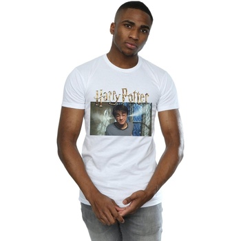 Abbigliamento Uomo T-shirts a maniche lunghe Harry Potter Steam Ears Bianco