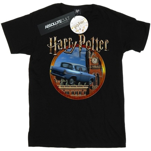 Abbigliamento Uomo T-shirts a maniche lunghe Harry Potter Flying Car Nero