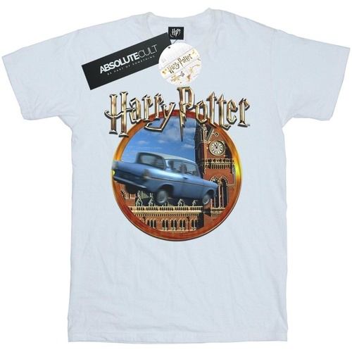 Abbigliamento Uomo T-shirts a maniche lunghe Harry Potter Flying Car Bianco