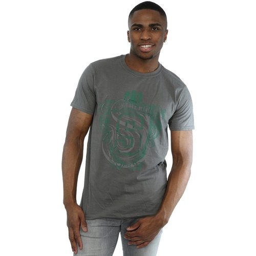 Abbigliamento Uomo T-shirts a maniche lunghe Harry Potter Slytherin Serpent Crest Multicolore