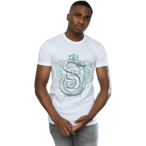 Abbigliamento Uomo T-shirts a maniche lunghe Harry Potter Slytherin Serpent Crest Bianco