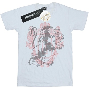 Abbigliamento Uomo T-shirts a maniche lunghe Harry Potter Gryffindor Lion Crest Bianco