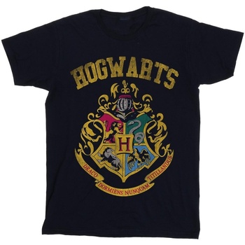 Abbigliamento Uomo T-shirts a maniche lunghe Harry Potter Hogwarts Varsity Blu