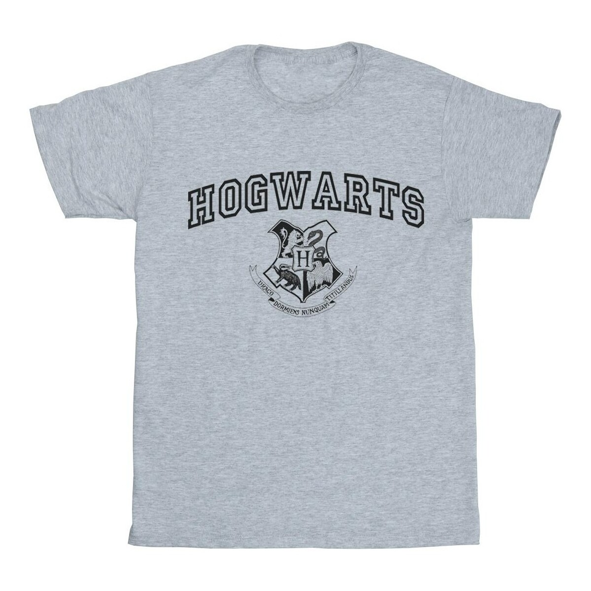 Abbigliamento Uomo T-shirts a maniche lunghe Harry Potter Hogwarts Crest Grigio