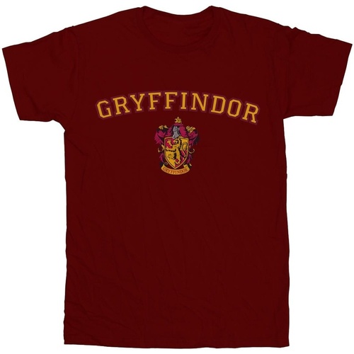 Abbigliamento Uomo T-shirts a maniche lunghe Harry Potter Gryffindor Crest Multicolore
