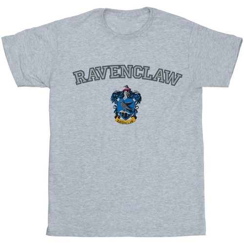 Abbigliamento Uomo T-shirts a maniche lunghe Harry Potter Ravenclaw Crest Grigio