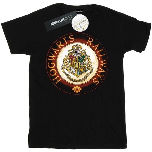 Abbigliamento Uomo T-shirts a maniche lunghe Harry Potter Hogwarts Rail Nero