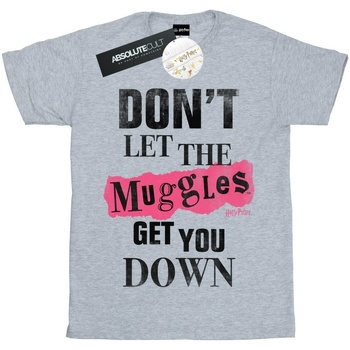 Abbigliamento Uomo T-shirts a maniche lunghe Harry Potter Muggles Clippings Grigio