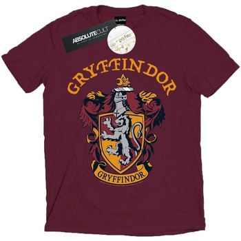 Abbigliamento Uomo T-shirts a maniche lunghe Harry Potter Gryffindor Crest Multicolore