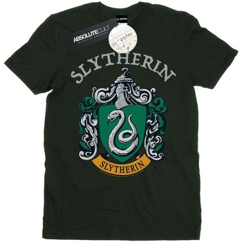 Abbigliamento Uomo T-shirts a maniche lunghe Harry Potter Slytherin Crest Verde