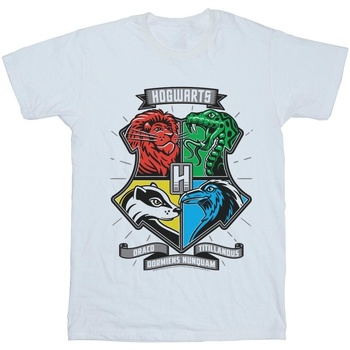 Abbigliamento Uomo T-shirts a maniche lunghe Harry Potter Hogwarts Toon Crest Bianco