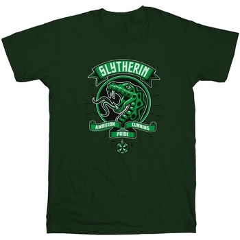 Abbigliamento Uomo T-shirts a maniche lunghe Harry Potter Slytherin Toon Crest Verde
