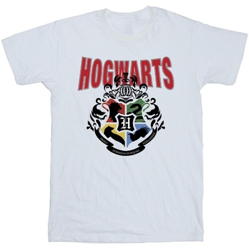 Abbigliamento Uomo T-shirts a maniche lunghe Harry Potter Hogwarts Emblem Bianco