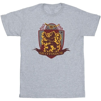 Abbigliamento Uomo T-shirts a maniche lunghe Harry Potter Gryffindor Chest Badge Grigio