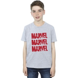 Abbigliamento Bambino T-shirt maniche corte Marvel Red Spray Logos Grigio