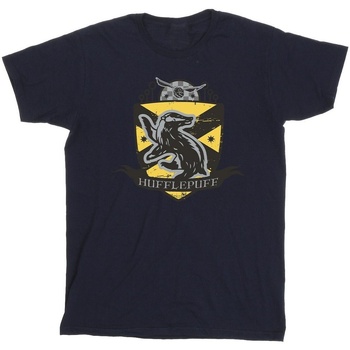 Abbigliamento Uomo T-shirts a maniche lunghe Harry Potter Hufflepuff Chest Badge Blu