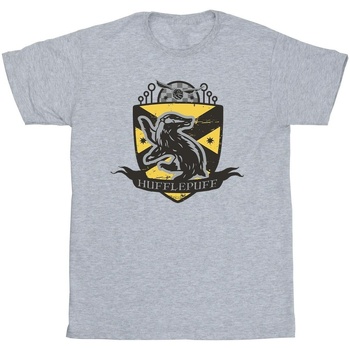 Abbigliamento Uomo T-shirts a maniche lunghe Harry Potter Hufflepuff Chest Badge Grigio