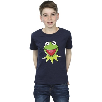 Abbigliamento Bambino T-shirt & Polo Disney Muppets Kermit Head Blu