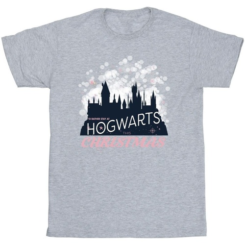 Abbigliamento Uomo T-shirts a maniche lunghe Harry Potter Hogwarts Christmas Grigio