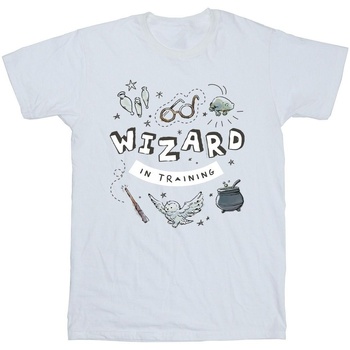 Abbigliamento Uomo T-shirts a maniche lunghe Harry Potter Wizard In Training Bianco