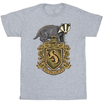 Abbigliamento Uomo T-shirts a maniche lunghe Harry Potter Hufflepuff Sketch Crest Grigio