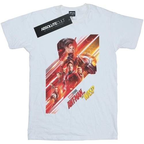 Abbigliamento Bambina T-shirts a maniche lunghe Marvel Studios Ant-Man And The Wasp Poster Bianco