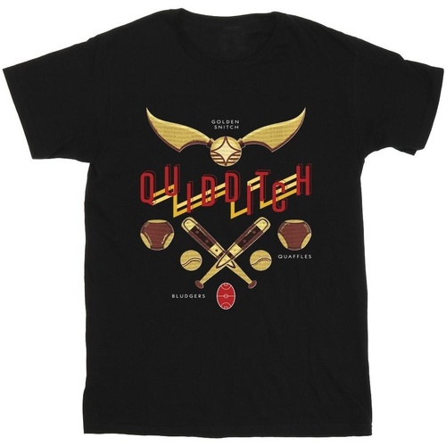 Abbigliamento Uomo T-shirts a maniche lunghe Harry Potter Quidditch Golden Snitch Nero