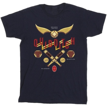 Abbigliamento Uomo T-shirts a maniche lunghe Harry Potter Quidditch Golden Snitch Blu