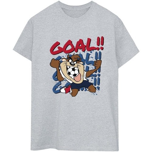 Abbigliamento Donna T-shirts a maniche lunghe Dessins Animés Taz Goal Goal Goal Grigio