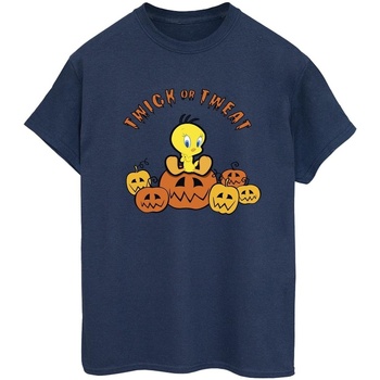 Abbigliamento Donna T-shirts a maniche lunghe Dessins Animés BI33828 Blu