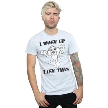 Abbigliamento Uomo T-shirts a maniche lunghe Dessins Animés Taz I Woke Up Like This Grigio