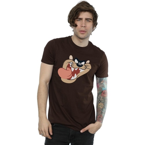 Abbigliamento Uomo T-shirts a maniche lunghe Dessins Animés Tasmanian Devil Face Multicolore