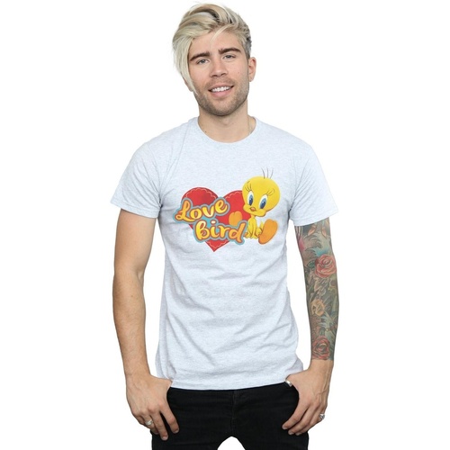 Abbigliamento Uomo T-shirts a maniche lunghe Dessins Animés Tweety Pie Valentine's Day Love Bird Grigio