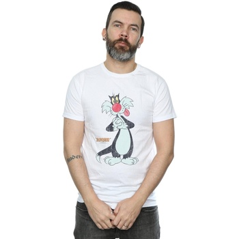 Abbigliamento Uomo T-shirts a maniche lunghe Dessins Animés Sylvester Distressed Bianco