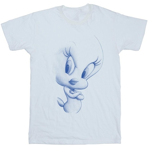 Abbigliamento Uomo T-shirts a maniche lunghe Dessins Animés  Bianco